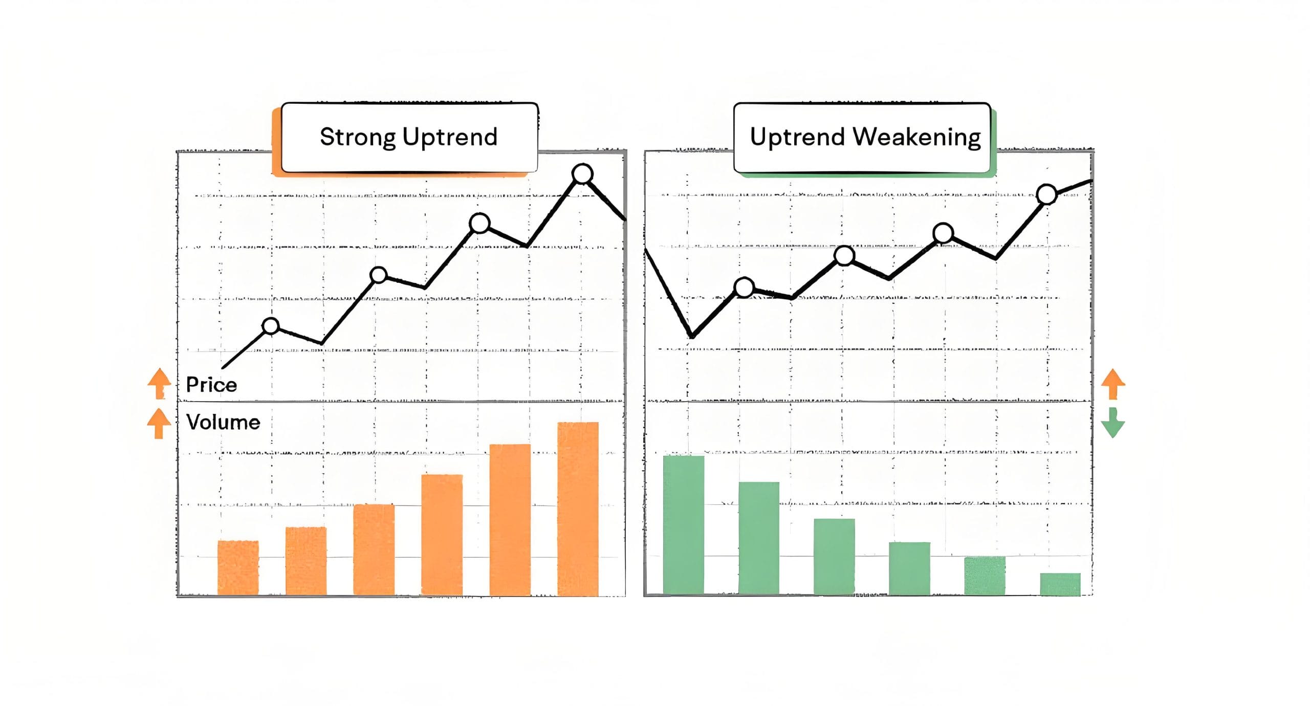 量价关系实战全攻略：八大量价形态解析与买卖点判断（附2024最新案例）