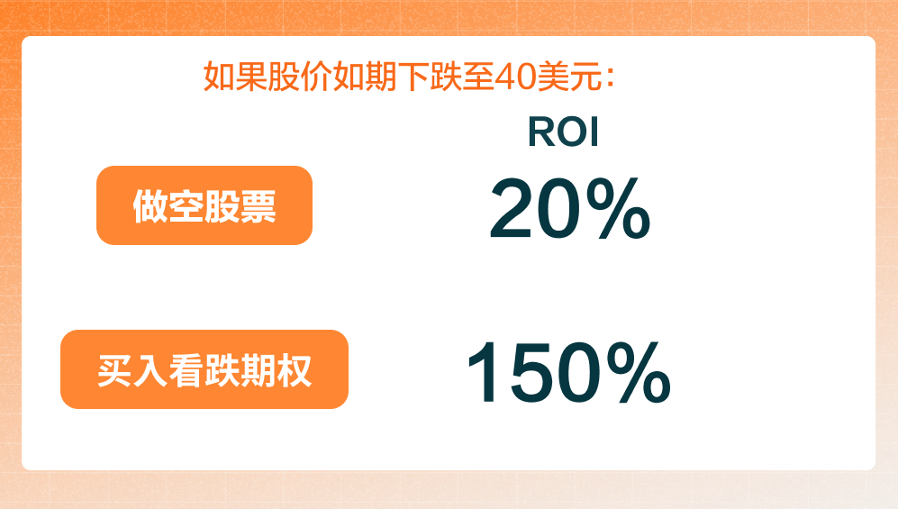 Long Put 买入看跌期权